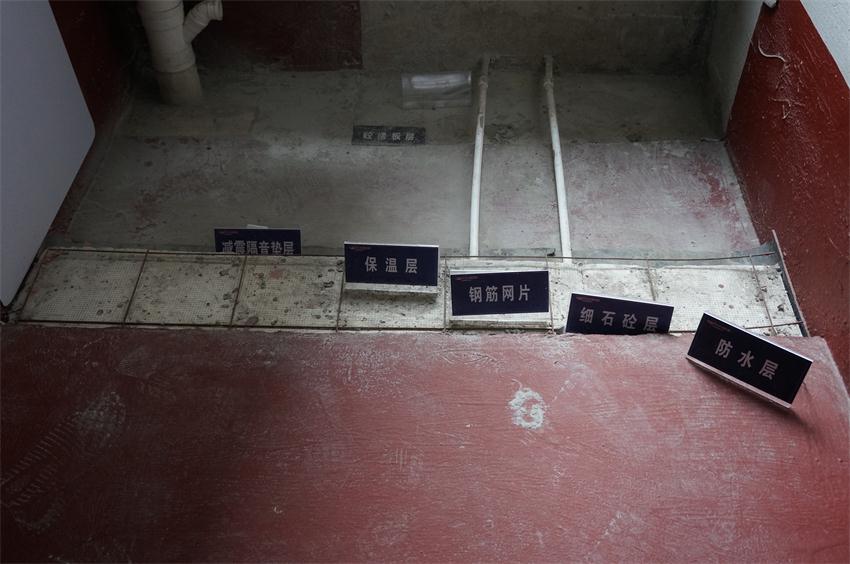 四新技術(shù)學(xué)習(xí) 助推協(xié)會(huì)發(fā)展(圖8)