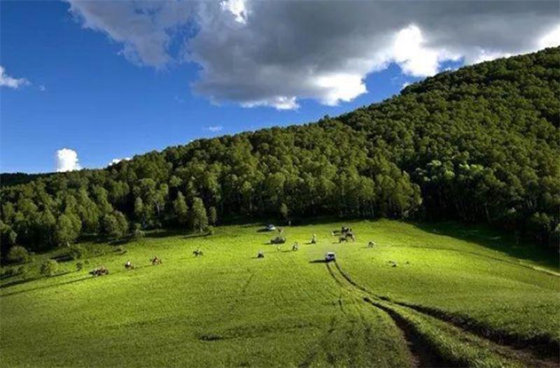 避暑好去處 壩上草原【孤石陽(yáng)光山谷】(圖15)