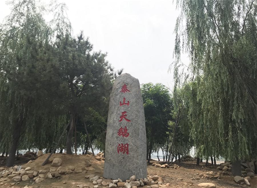 天鵝湖風(fēng)景區(qū)（泰山）速覽！(圖12)