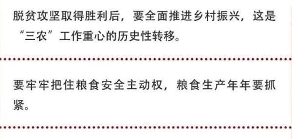 2020年中央農(nóng)村工作會(huì)議精神速覽！(圖2)