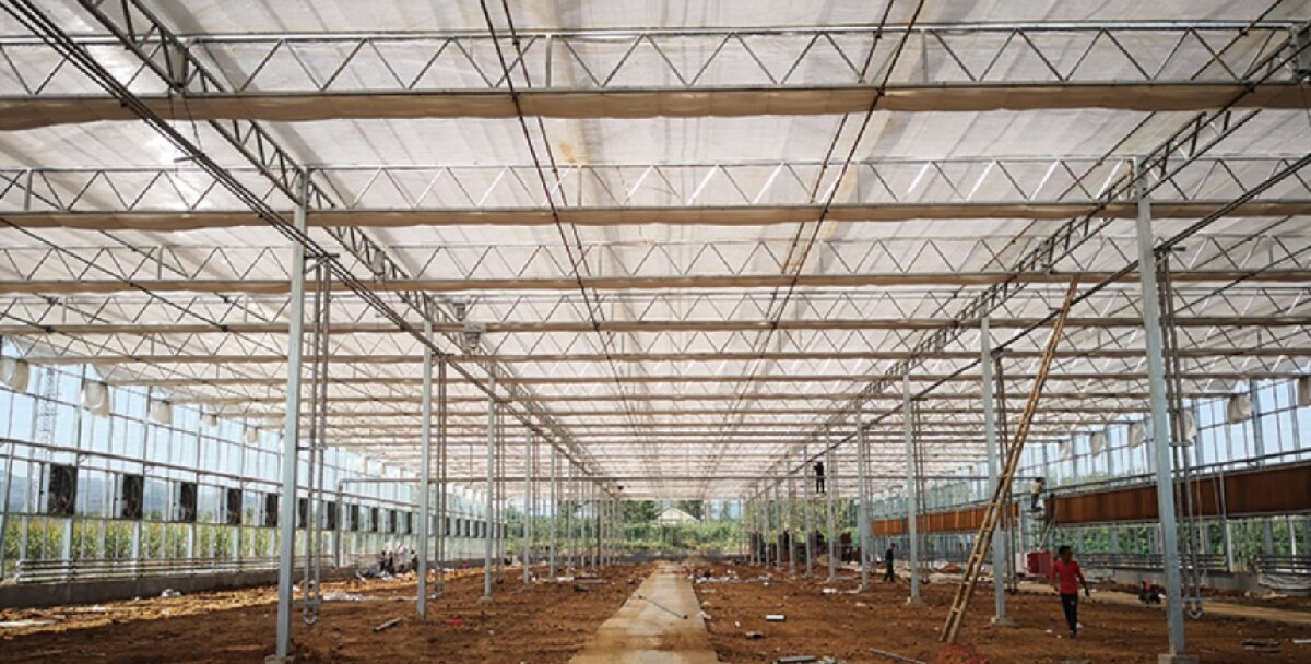 信橋鋼構(gòu)：打卡蒙陰農(nóng)業(yè)溫室大棚、青州黑牛養(yǎng)殖基地！(圖3)