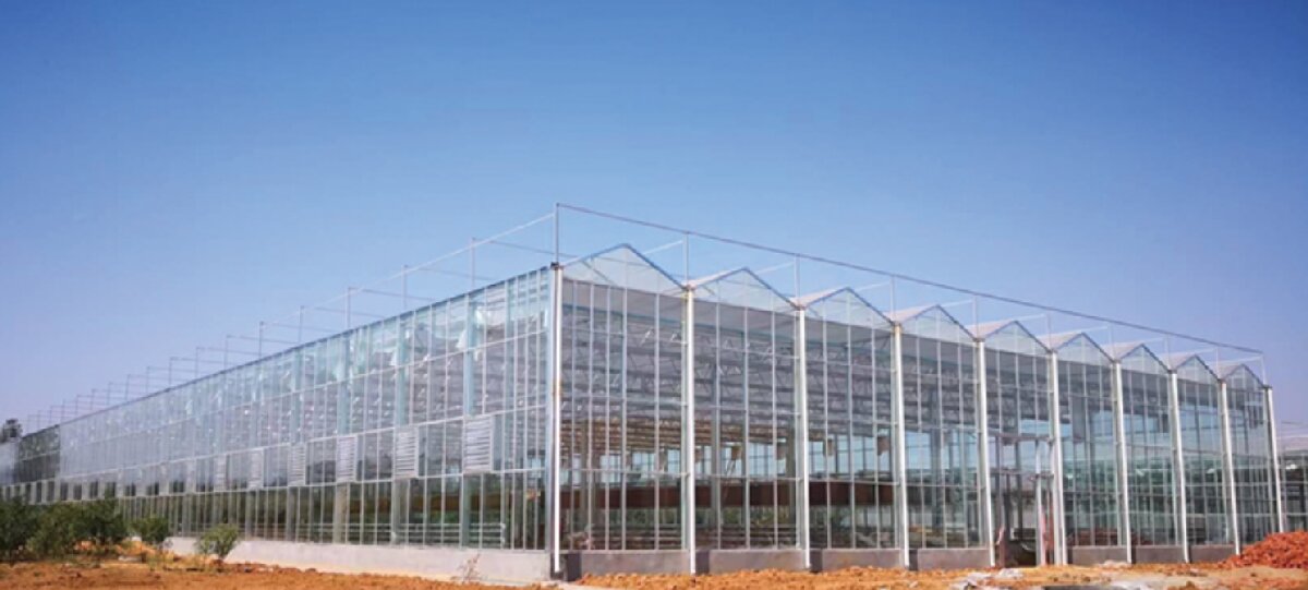 信橋鋼構(gòu)：打卡蒙陰農(nóng)業(yè)溫室大棚、青州黑牛養(yǎng)殖基地！(圖2)